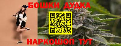 эйфоретик Гусь-Хрустальный