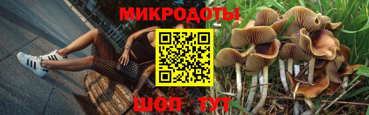 Псилоцибиновые грибы мухоморы Мыски